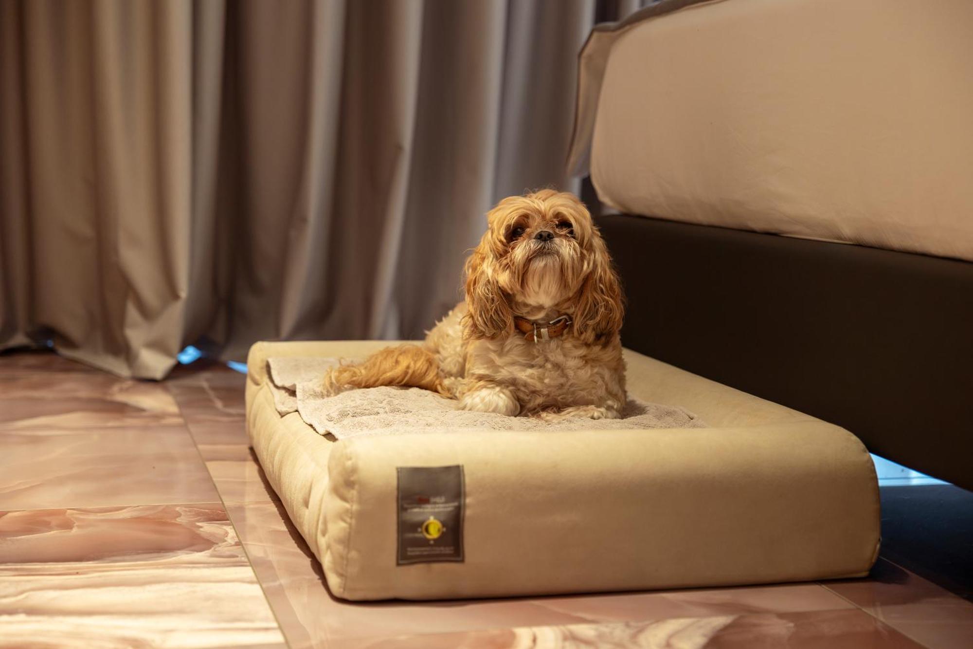 Boutique Hotel Сирмионе Екстериор снимка